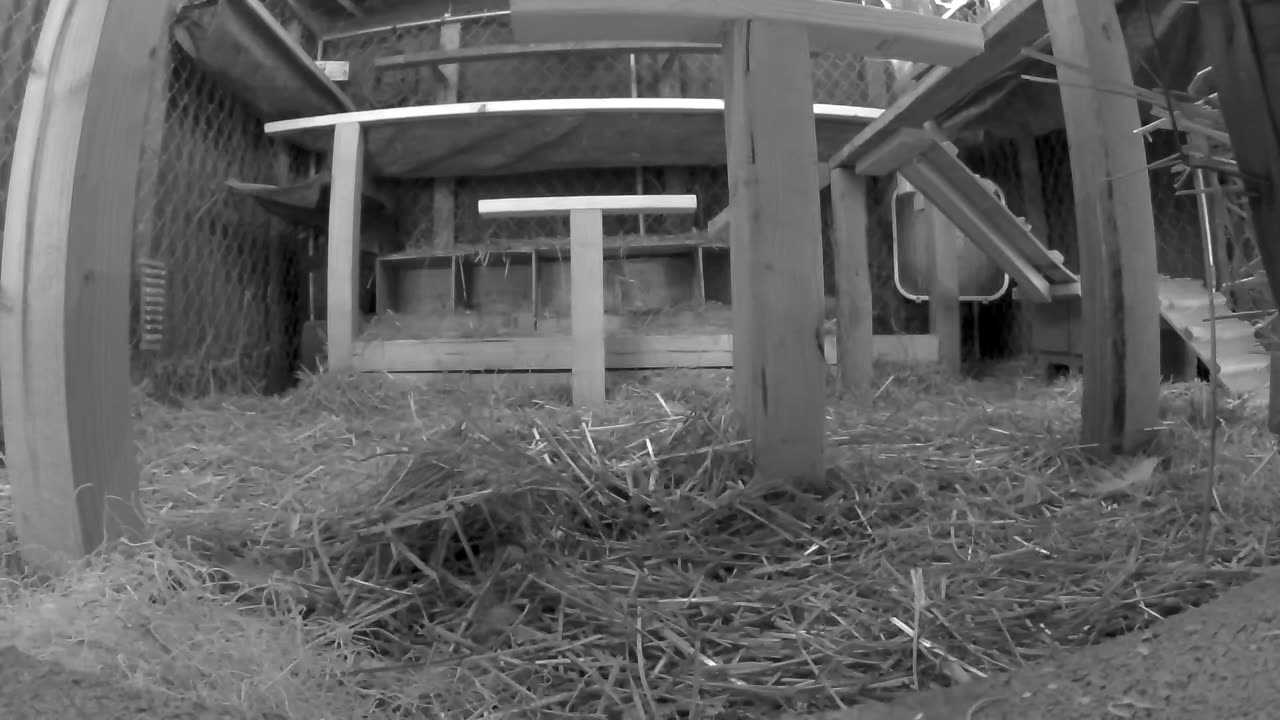 Friday Night Perch Up - Ground Level