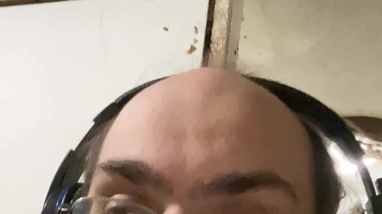 I love pickles 2026 ￼edition