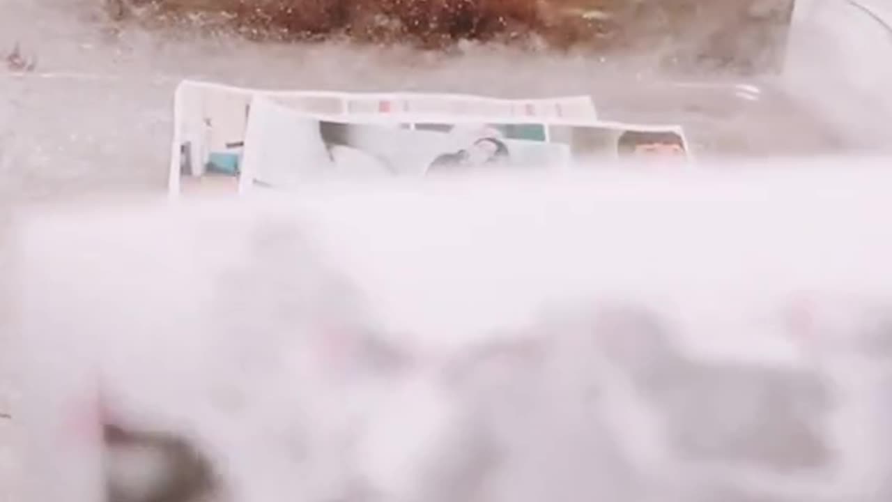 Tim Rifat TikTok Videos