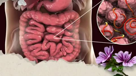 Best Ayurvedic Panchakarma Treatment Therapy in Ahmedabad Gujarat India