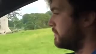 😂🐒 Kid’s Hilarious Message to Monkey on Car! | FunFM