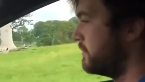 😂🐒 Kid’s Hilarious Message to Monkey on Car! | FunFM