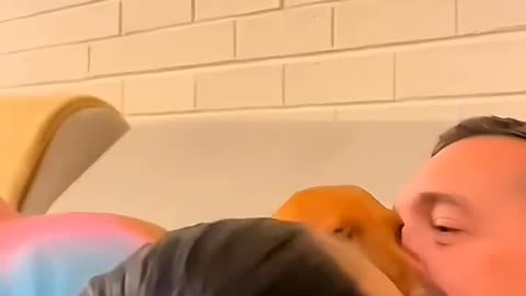 Crazy Animals