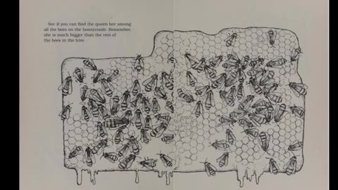 I Was Born in a Tree and Raised by Bees