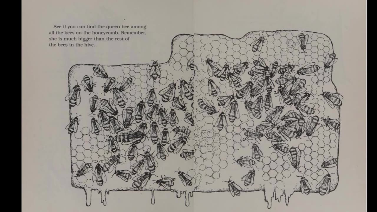 I Was Born in a Tree and Raised by Bees