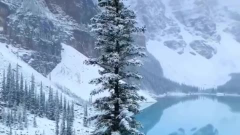 Beauty of Nature