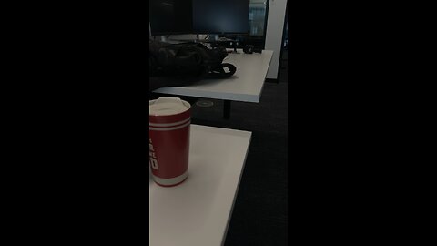 Disabled mic and cam