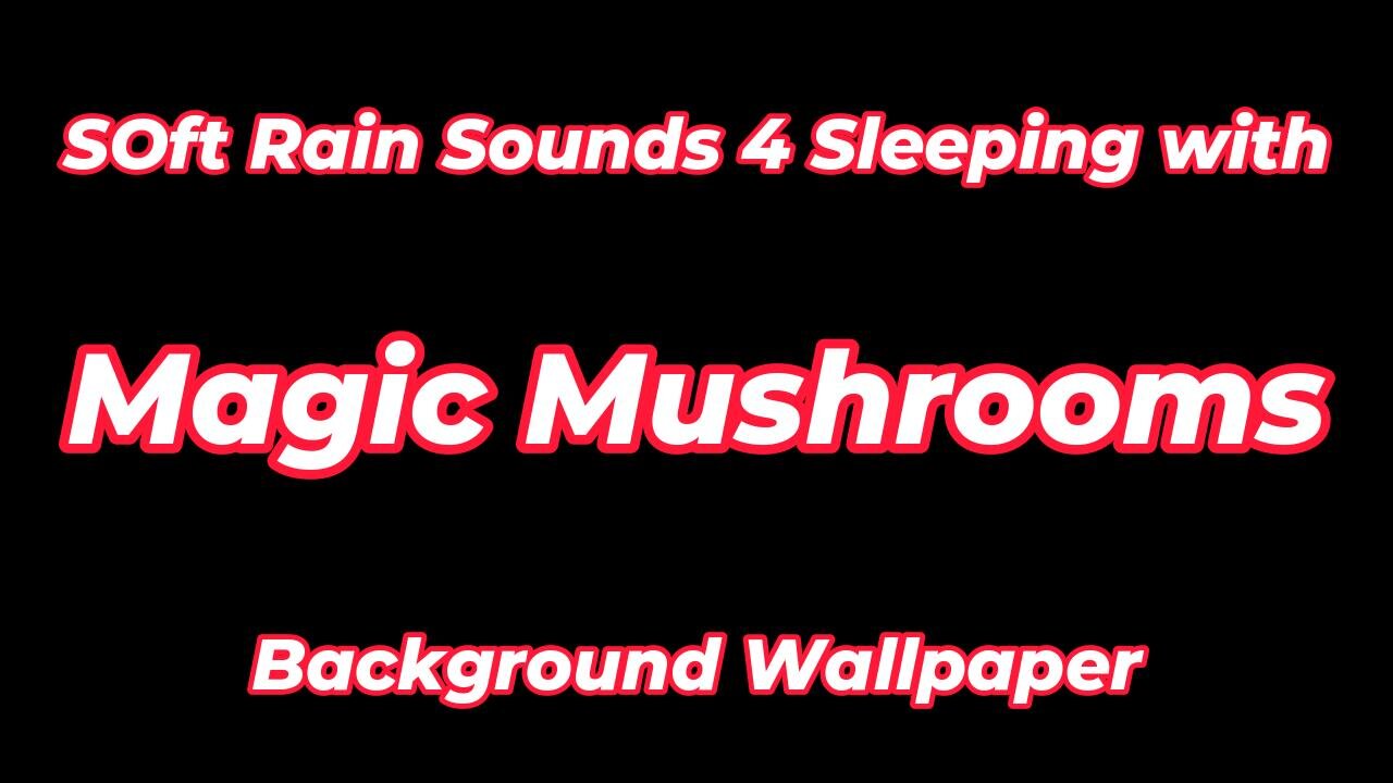 Soft Rain Sounds 4 Sleeping with Magic Mushrooms Background Wallpaper