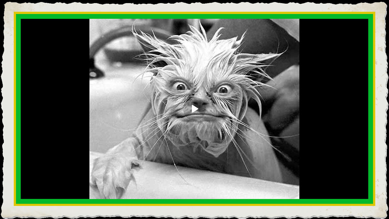 BOND MARKET HAS CRACKED, RUN FOR GOLD, RUN