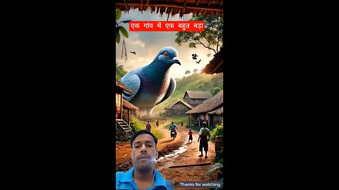 Aap ro padoge! Kabootar aur Murgi ki asli kahani 😭😭 #ai #hen #pigeon #farmer