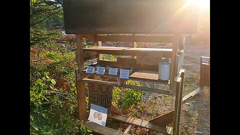 Our first Crooked River Homestead Farmstand!