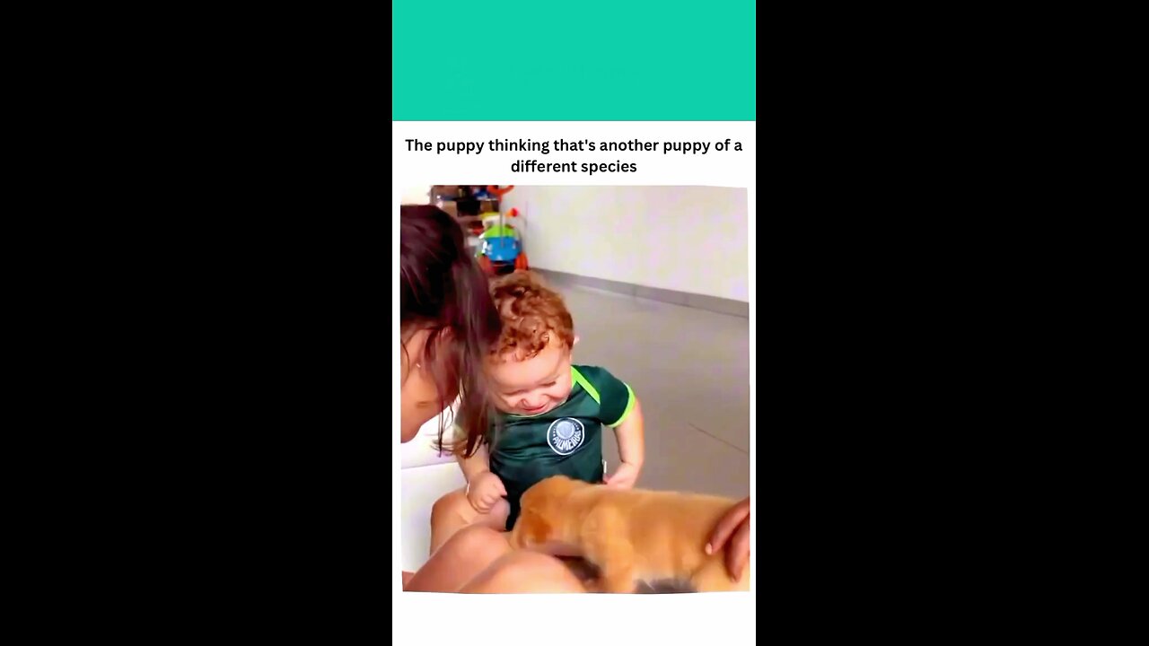 The puppy thinking that's a another puppy of a different species🐾🥰
