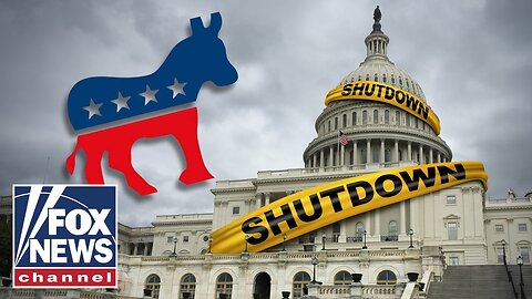 Dems ‘punishing innocent bystanders’ in shutdown: GOP lawmaker