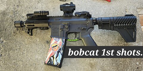 Bobcat 556 5in