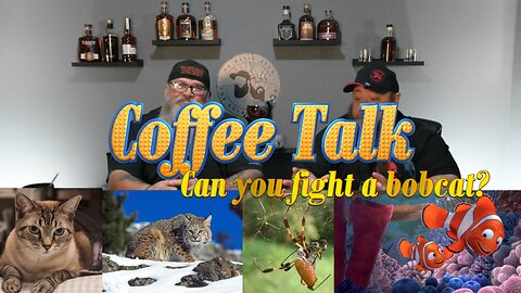 Could You Take On a Bobcat?