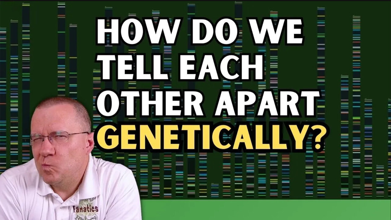If We All Share 99.9% of DNA, How Can It Still Tell Us Apart?