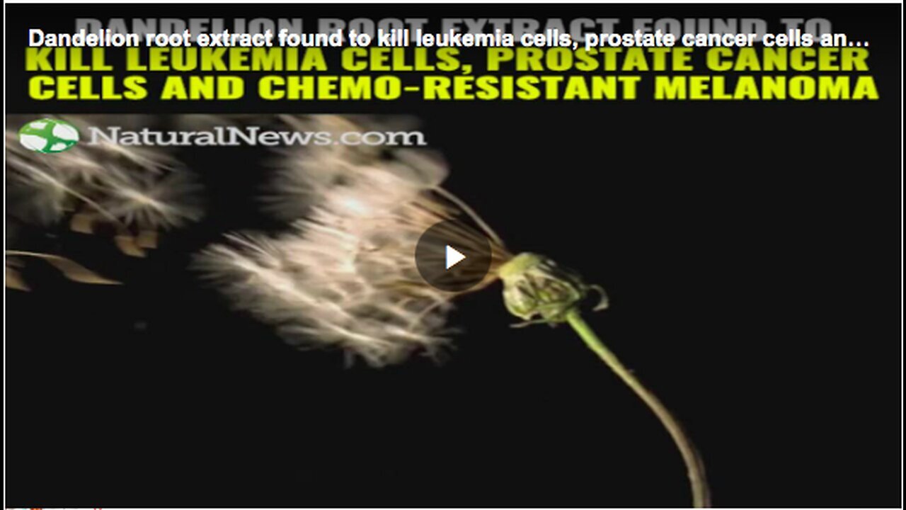 "Dandelion Root's Role in Eliminating Leukemia, Prostate Cancer, and Chemo-Resistant Melanoma"