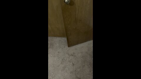Follow me!