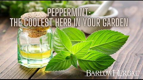 The Health Benefits of Peppermint