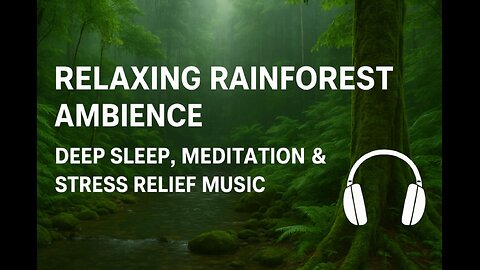 Relaxing Rainforest Ambience | Deep Sleep, Meditation & Stress Relief Music [4K Nature Sounds]