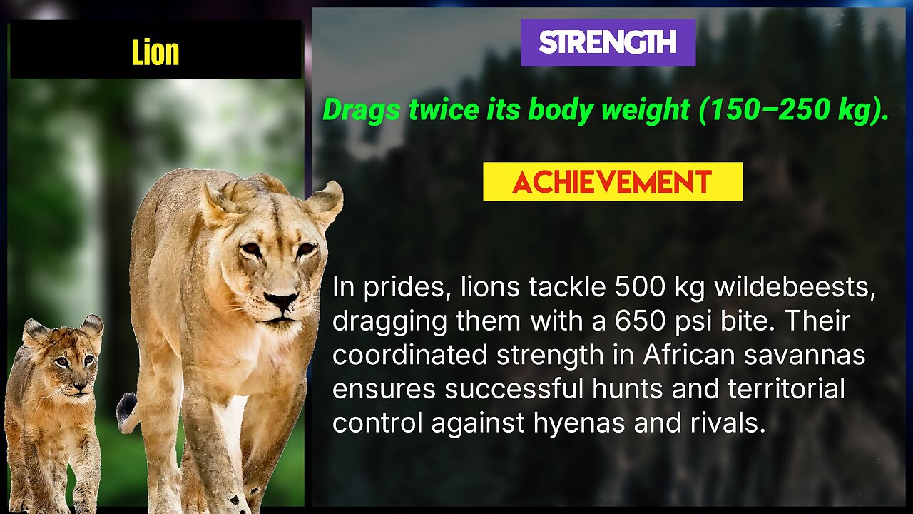🔴 UNBELIEVABLE at Number 1! The Mightiest Creatures on Earth: Top 20 Strongest Animals Revealed! 🔎