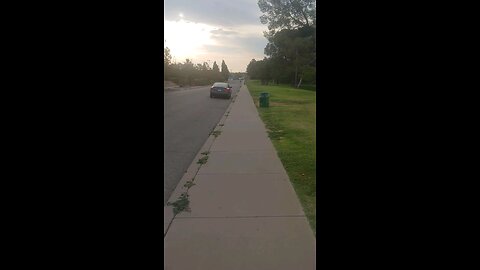 Sunday Morning Walk