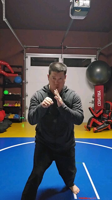 WTD Hand Combination 2, Kickstance Set (Rank 2)