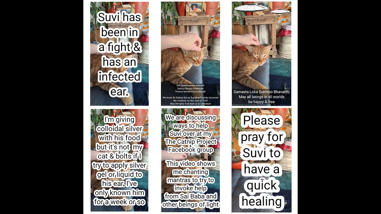 Please pray for Suvi's ear.