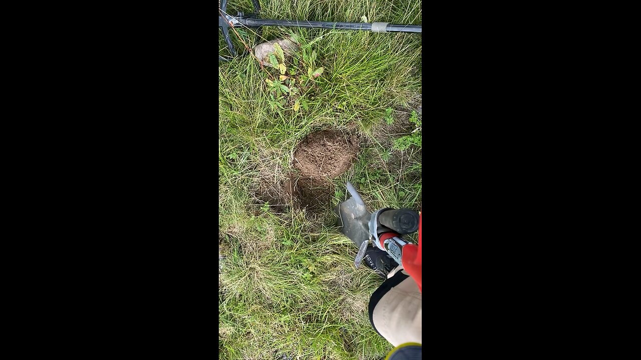 Metall Hunt