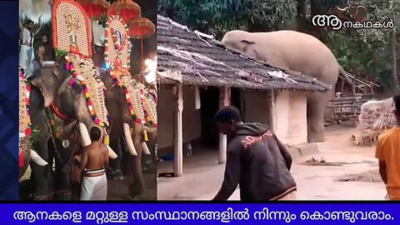 സുരേഷ് ഗോപിയുടെ ഇടപെടൽ വിജയം മറ്റുള്ള സംസ്ഥാനങ്ങളിൽ നിന്നും ആനകൾ കേരളത്തിലേക്ക് _ Suresh gopi