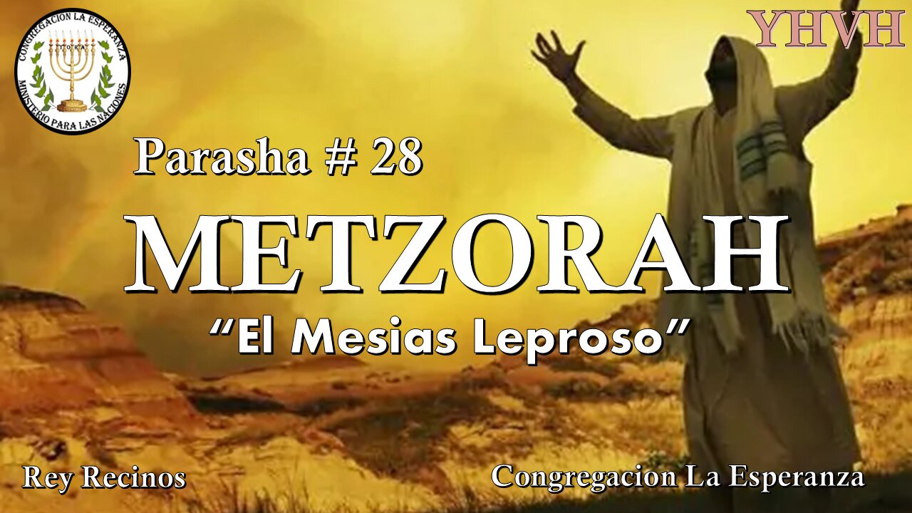 Parasha #28 Mitzorah