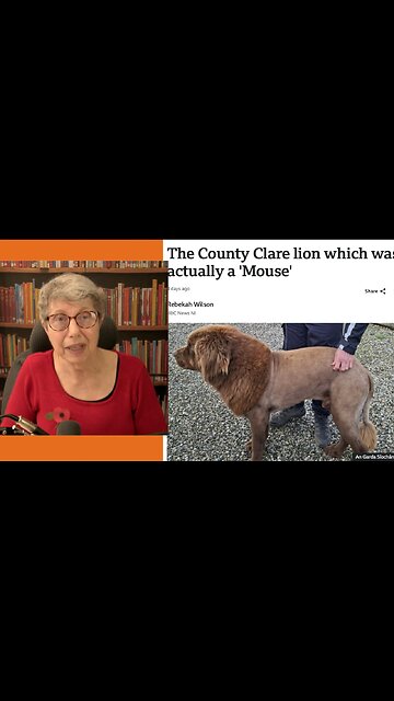 Panic! King of Beasts in County Clare