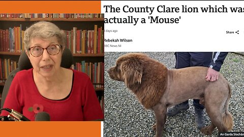 Panic! King of Beasts in County Clare