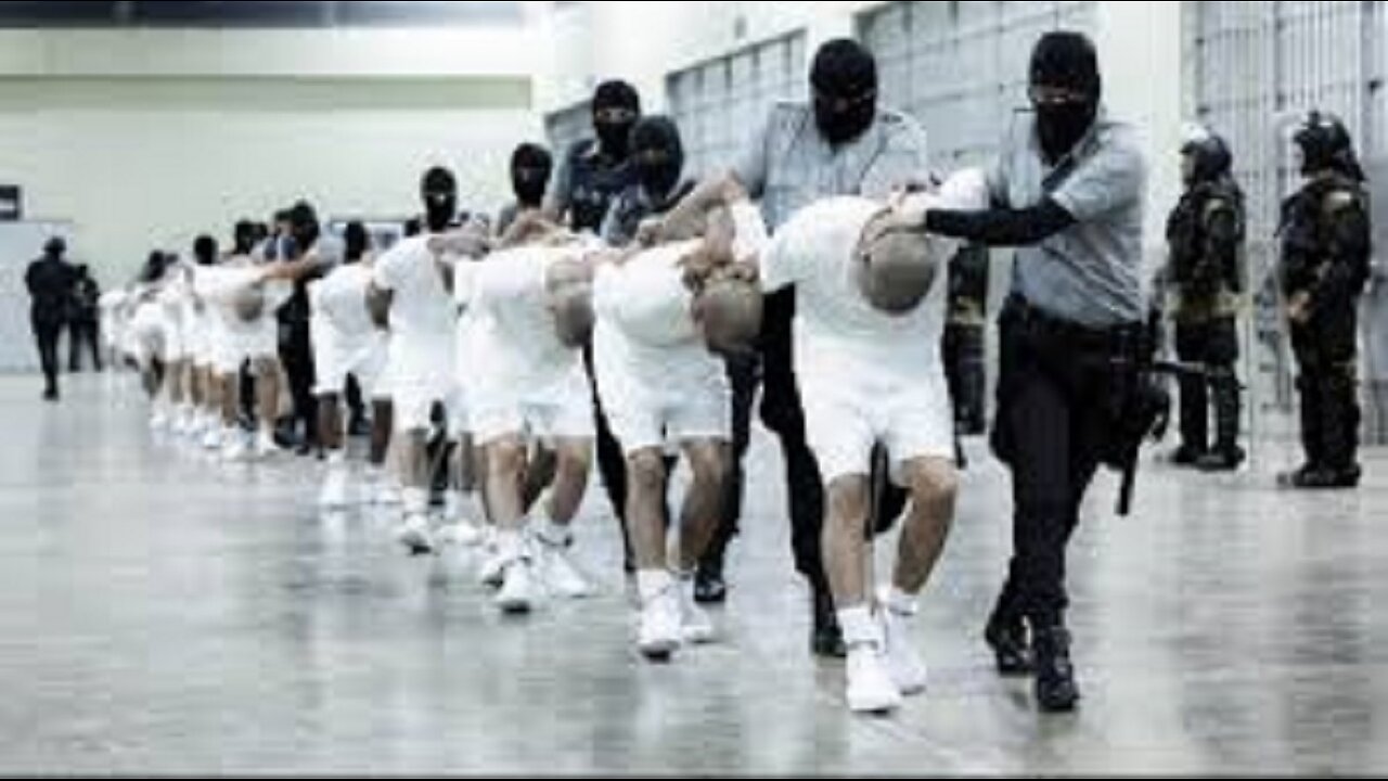WH Rips Judge Who Blocked Alleged Gang Members' Deportation