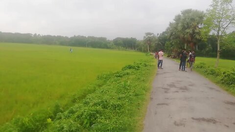 “Magical Morning with Flying Kites | Joy of Childhood”