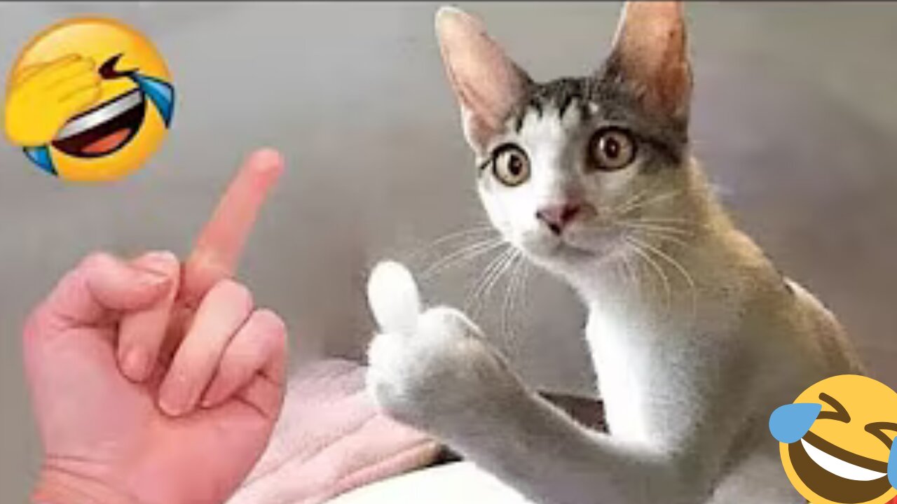 Hilarious Cats & Dogs 2025🙀🐕 | Try Not to Laugh Animal Fails Compilation 🤣😆