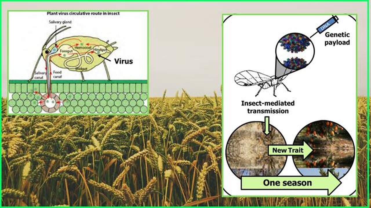 "Unlocking Secrets: Weaponized Insects & Spy Plants in Modern Surveillance"