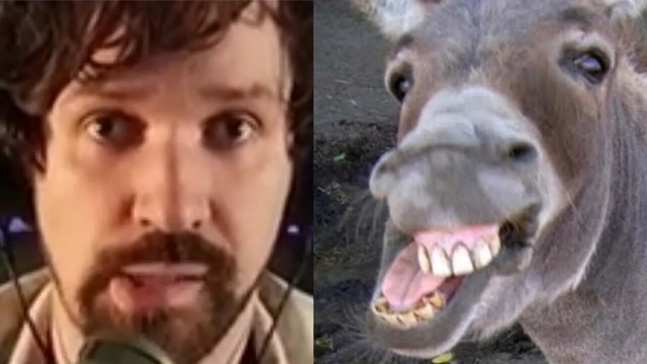 Donkey Jaw Destiny Can't Handle Losing No Matter How Much Help He Has