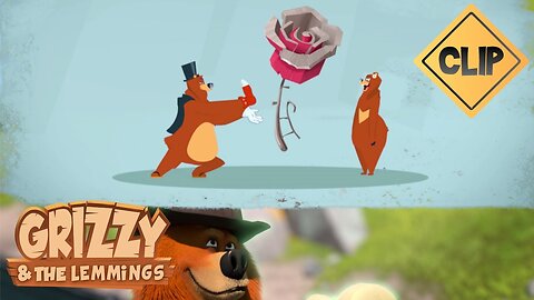Grizzy and his magnetic charm ! - Grizzy & les Lemmings