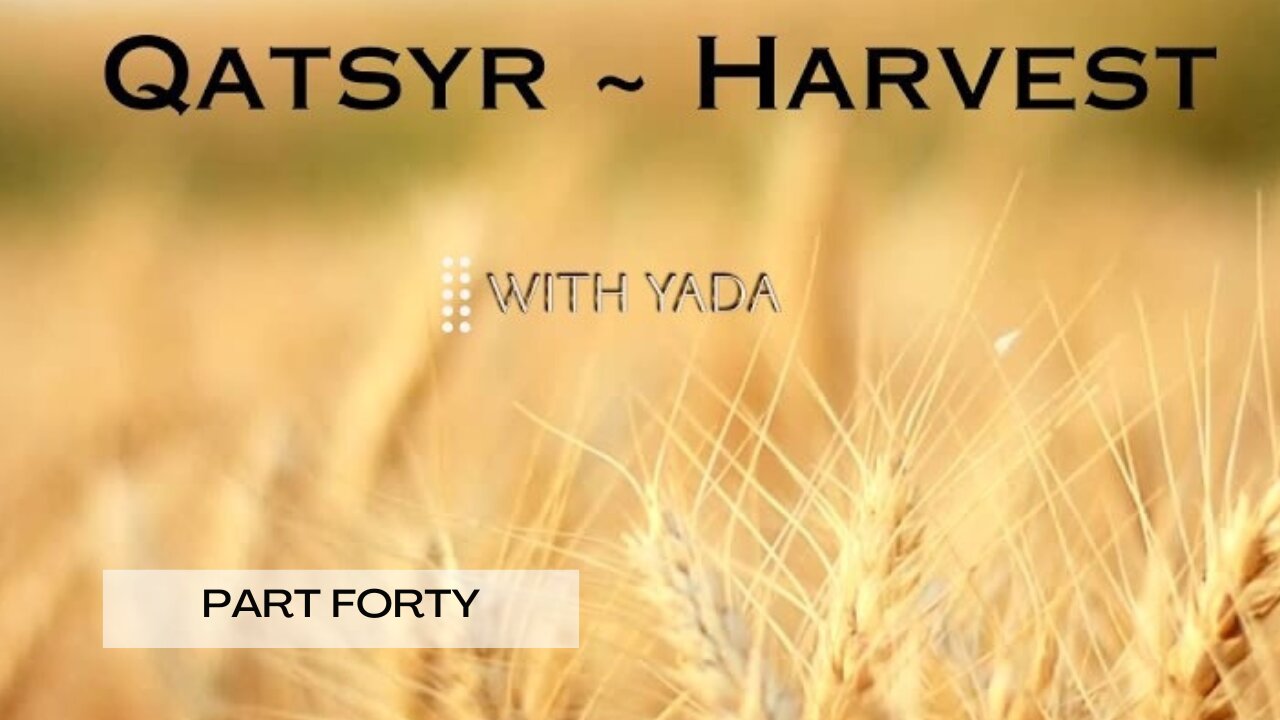 Qatsyr ~ Harvest Part Forty 04 April 2025