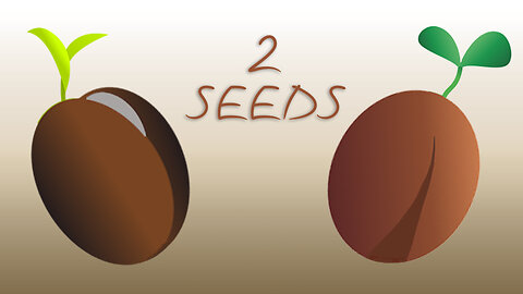 2 SEEDS