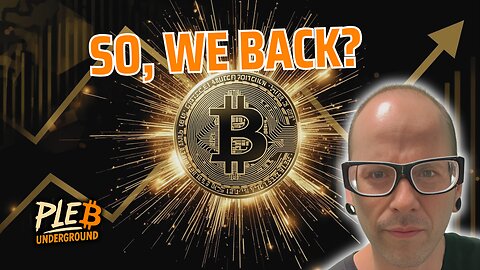 Bitcoin price of $1.3 million is actually conservative.