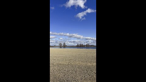 Geese Landing for a Nice Rest