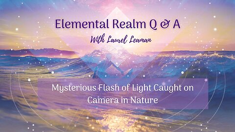 Mysterious Flash of Light Caught on Camera in Nature 🌿✨ (What Do You See?)