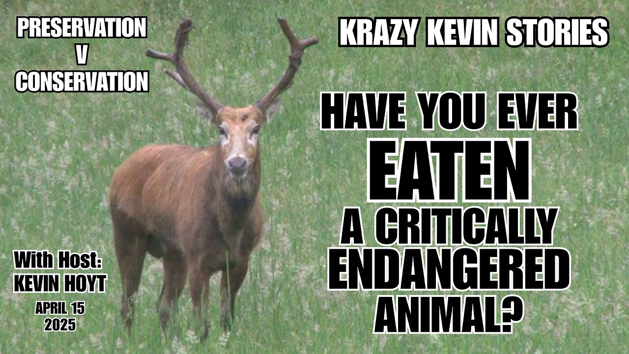 Krazy Kevin stories: NO controversy here lol, just a question Kevin Hoyt can answer YES to - tell us your thoughts!
