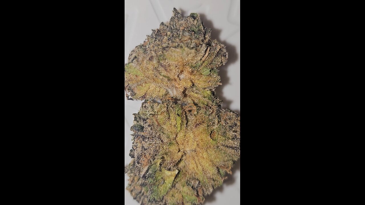 Sundaze permanent marker Azztecmedia Reviews