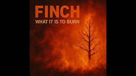 What it is to Burn - Finch