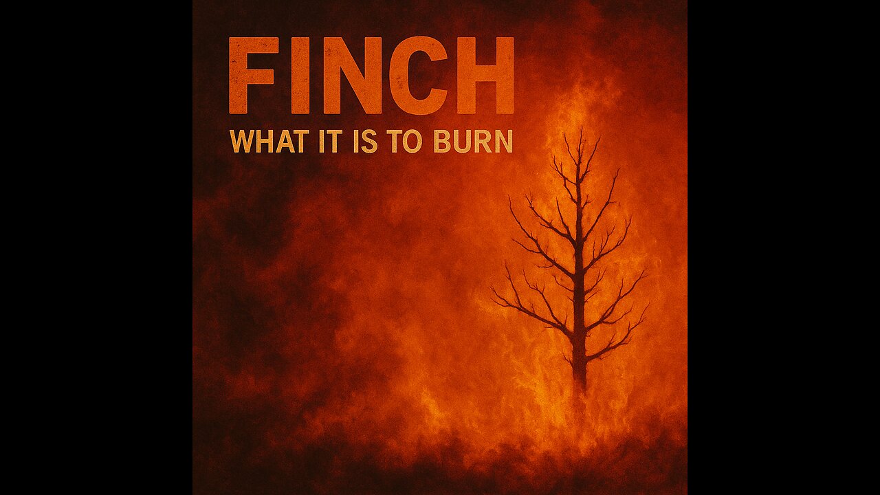 What it is to Burn - Finch