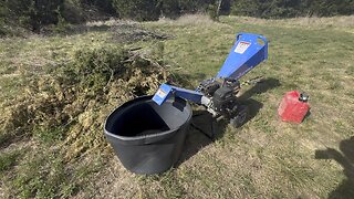 Chipping juniper to deter ants around apiary.