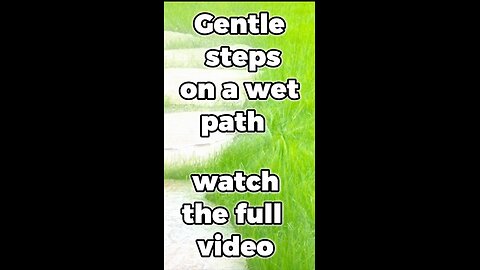 Walking Through Rain and Grass / feel releax